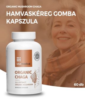   USA medical Chaga | Hamvaskéreg gomba kivonat acerolával | 60 db